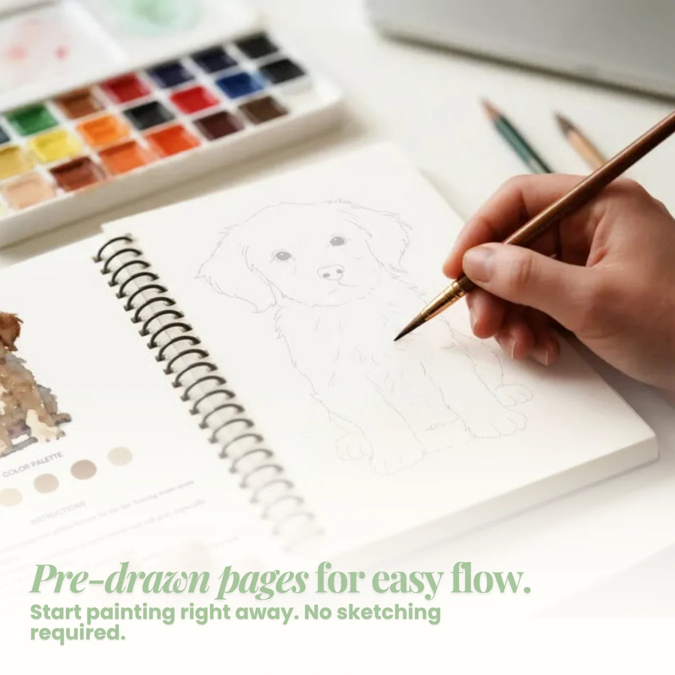 CalmCanvas™ | Paint Your Way to Peace